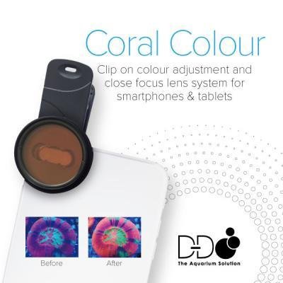D-D Coral Lense - Die Korallen-Linse für Ihr Smartphone