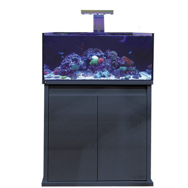D-D Reef-Pro 900 Anthracite